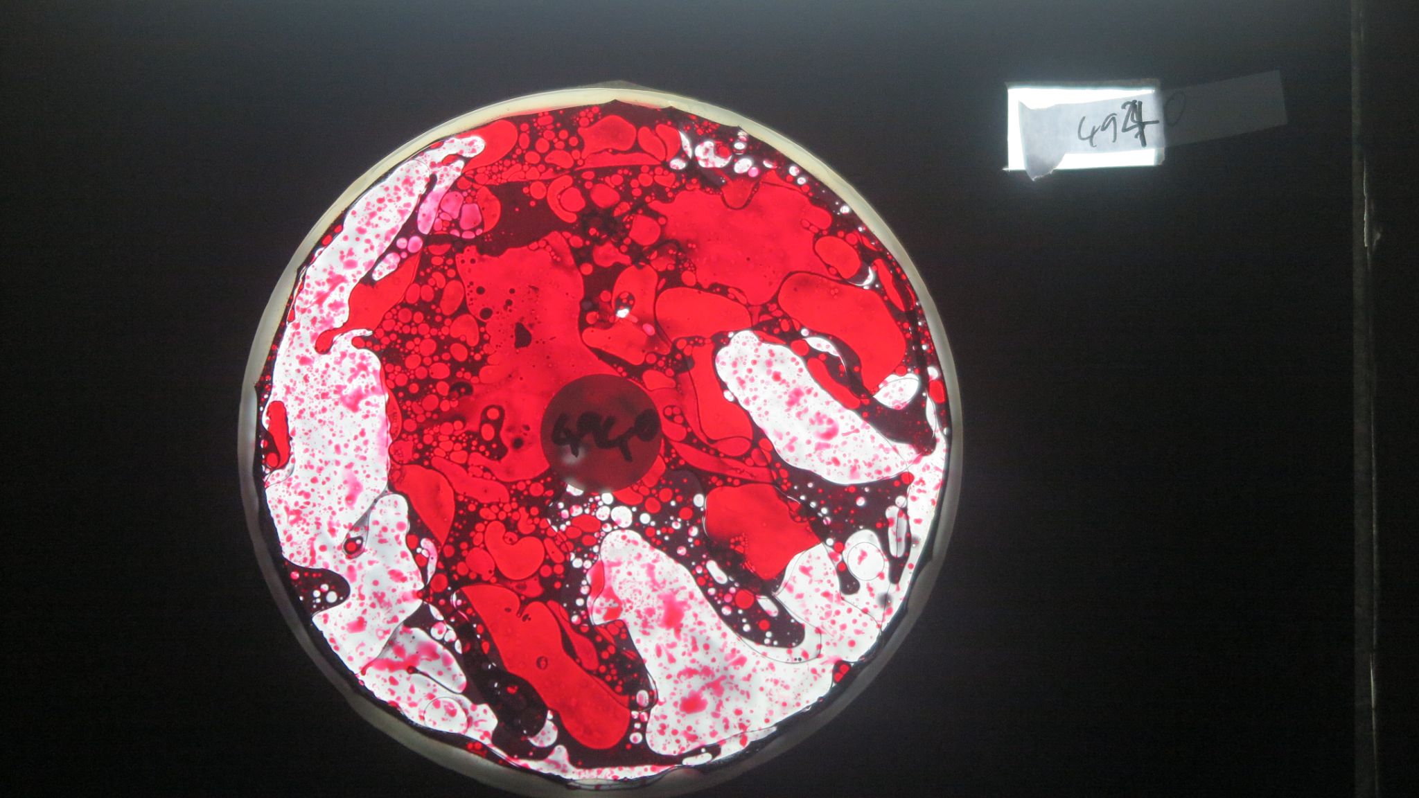 BV4940 bubble vision oil wheel
